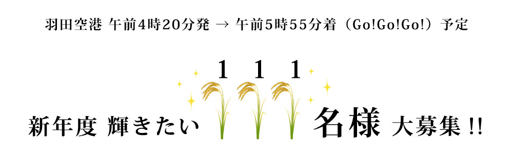 羽田空港午前4時20分→午前5時55分着(Go!Go!Go!)予定 新年度輝きたい111名様大募集