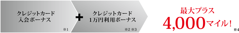 搭乗マイルボーナス 一般会員 / 搭乗マイルボーナス カード会員