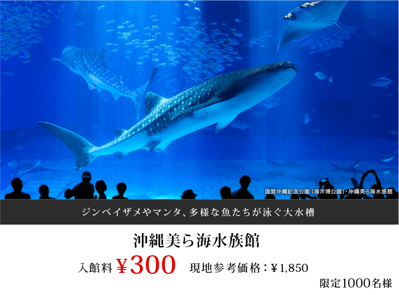 沖縄美ら海水族館