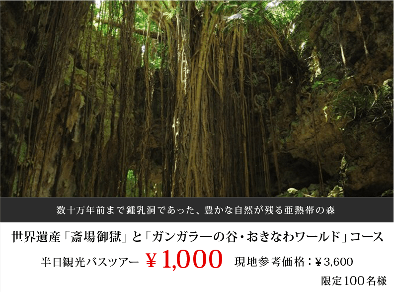 世界遺産「斎場御獄」と「ガンガラ―の谷・おきなわワールド」コース