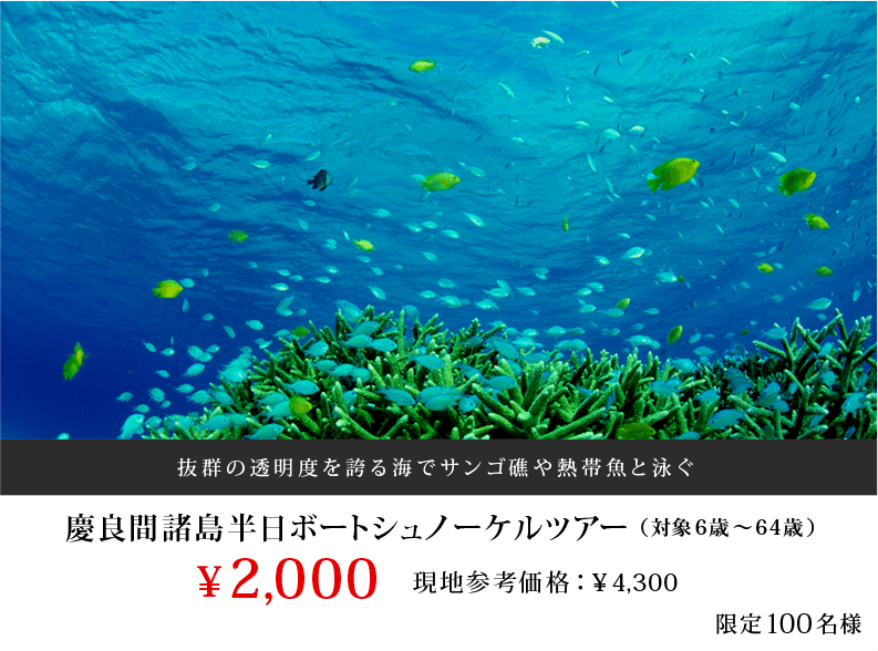 慶良間諸島半日ボートシュノーケルツアー