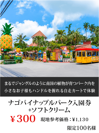 ナゴパイナップルパーク入園券+ソフトクリーム