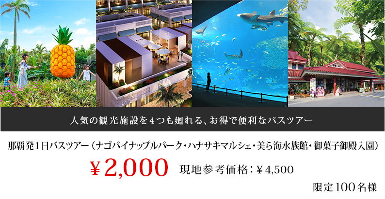 那覇発1日バスツアー（ナゴパイナップルパーク・琉球城・美ら海水族館・御菓子御殿入園）