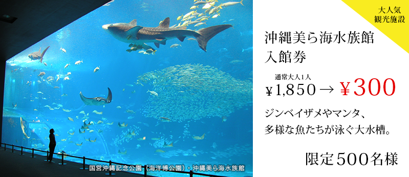 美ら海水族館入館券