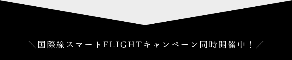 国内線マイルキャンペーン同時開催中！