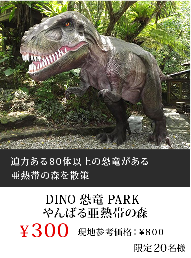 DINO恐竜PARK やんばる亜熱帯の森