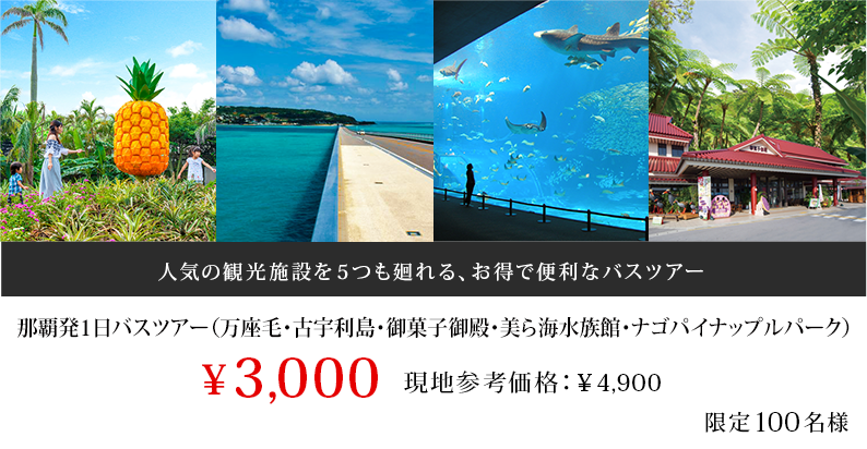 那覇発1日バスツアー（ナゴパイナップルパーク・琉球城・美ら海水族館・御菓子御殿入園）