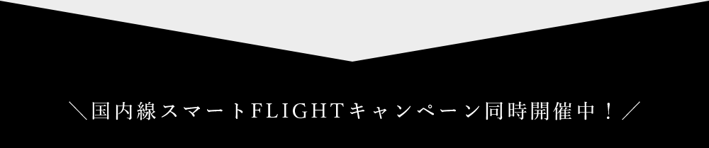 国内線マイルキャンペーン同時開催中！