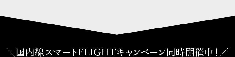 国内線マイルキャンペーン同時開催中！