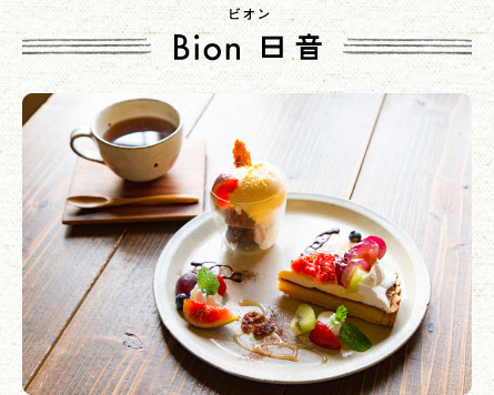 Bion (rI)