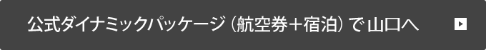 公式ダイナミックパッケージ（航空券＋宿泊）で山口へ