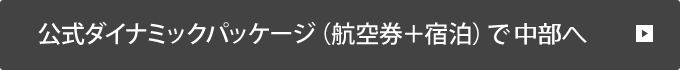 公式ダイナミックパッケージ（航空券＋宿泊）で中部へ