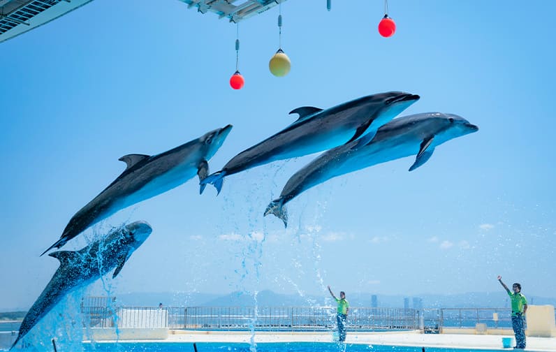 マリンワールド海の中道イメージ