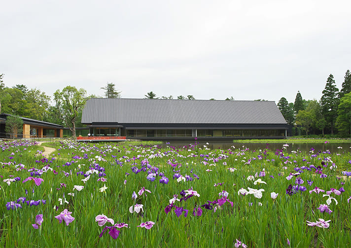 伊勢神宮（外宮）式年遷宮記念 せんぐう館イメージ