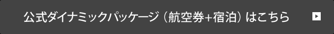 公式ダイナミックパッケージ(航空券＋宿泊)はこちら